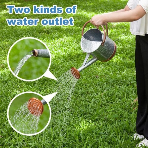 1 Gallon Watering Can for Outdoor Plants - Metal Watering Can for Outdoor Plants House Plant Watering Can with Sprinkle Head Perfect Watering Can Indoor Plants for Outdoor and Indoor Gardening - Image 5