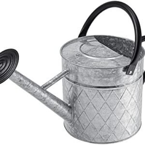 1.75 Gallon Outdoor Galvanized Metal Watering Can for Garden Plants, Vintage Zinc Watering Can with Removable Spray Spout, Ideal for Outdoor Use (Silver)