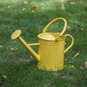 1 Gallon Watering Can, Yellow Watering Can, Metal Watering Can with Removable Spout, Galvanized Watering Can, Perfect Plant Watering Can for Indoor Use and for Outdoor Use