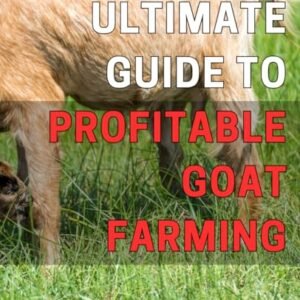 Ultimate Guide to Profitable Goat Farming: Maximize Your Profits with Optimized Goat Farming Techniques